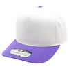 PB274 Pitbull Cambridge 5 Panel [White/Purple]