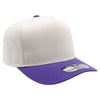 PB274 Pitbull Cambridge 5 Panel [White/Purple]