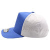 PB315 Plain Punch Cambridge 5Panel High Frame (Royal/L.Gray)