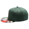 Mexico Series Snapback J-3 (D.Green)