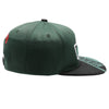 Sprinter 3 Patch Snapback Mexico-2 (D. Green/Black)