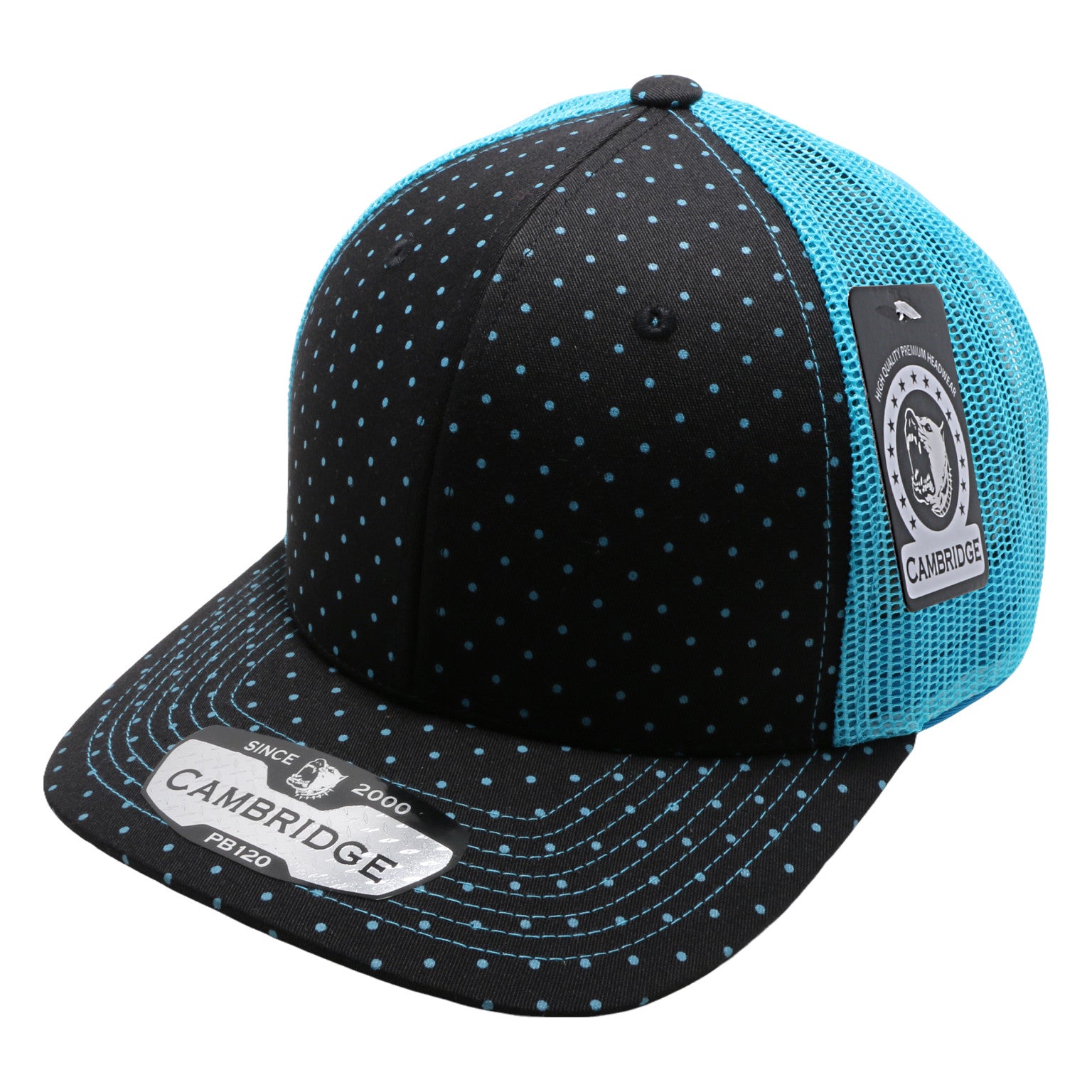 PB120C – CHOICE CAP, INC.