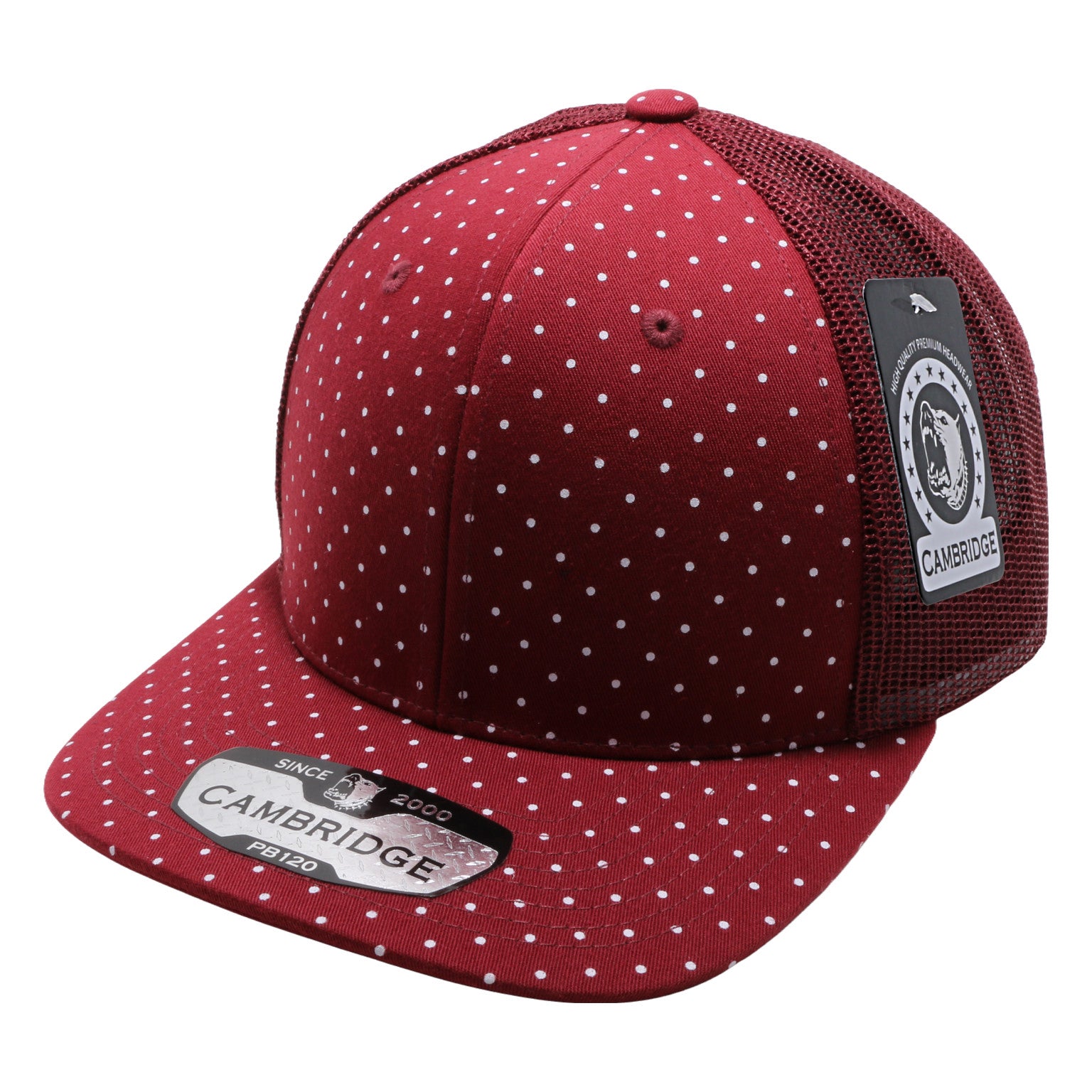 PB120C – CHOICE CAP, INC.
